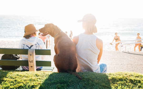 10 Hot Weather Safety Tips