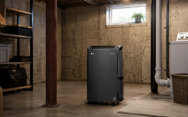 Best Dehumidifiers for Basement: Top Picks for 2026