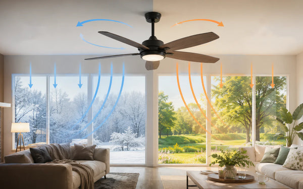 Ceiling Fan Direction: Summer vs Winter — The Complete Guide to Saving Energy Year-Round