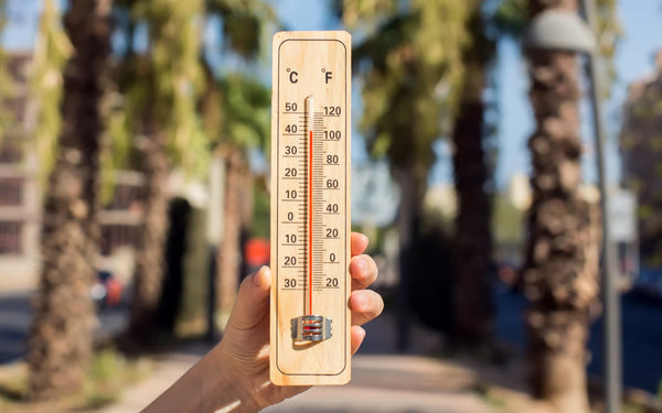Dry Heat vs Humid Heat: How Climate Affects Your Cooling Options