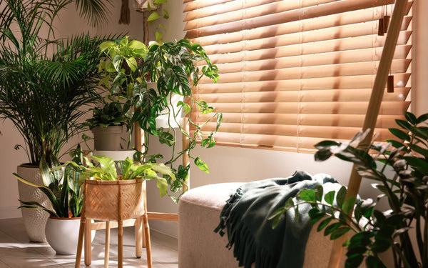 How to Block Heat From Windows in Summer: Every Method Ranked by Effectiveness