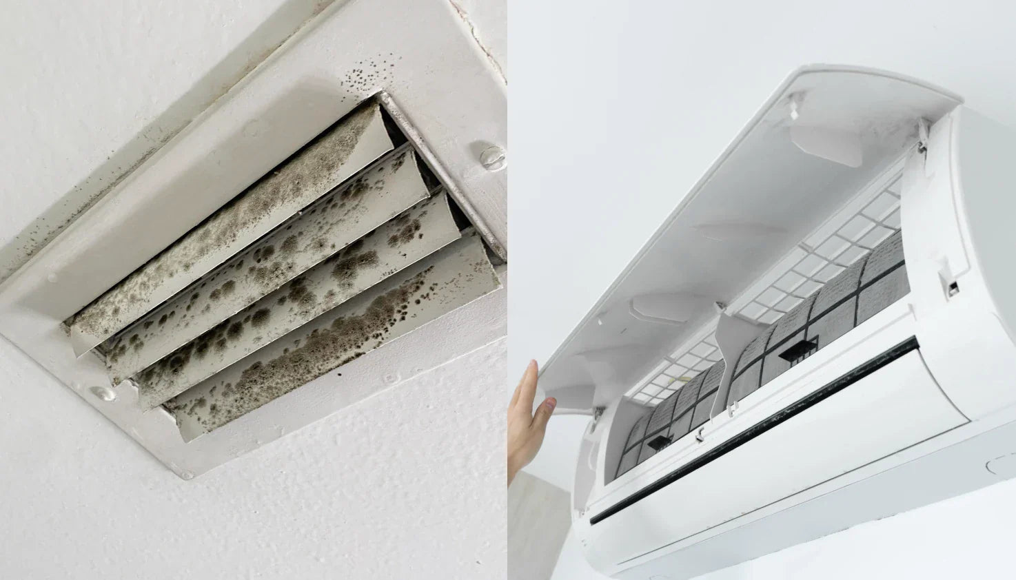 Mold in AC Vents: How to Identify, Remove & Prevent It