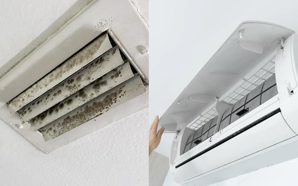 Mold in AC Vents: How to Identify, Remove & Prevent It